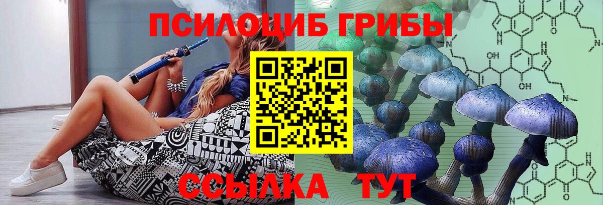 Псилоцибиновые грибы Cubensis  Псилоцибиновые грибы Psilocybine cubensis  Лабинск  Вход с VPN 